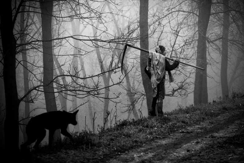 Vitalie Brega - The boy.jpg